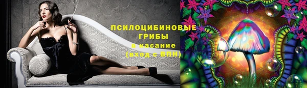 ешки Медногорск